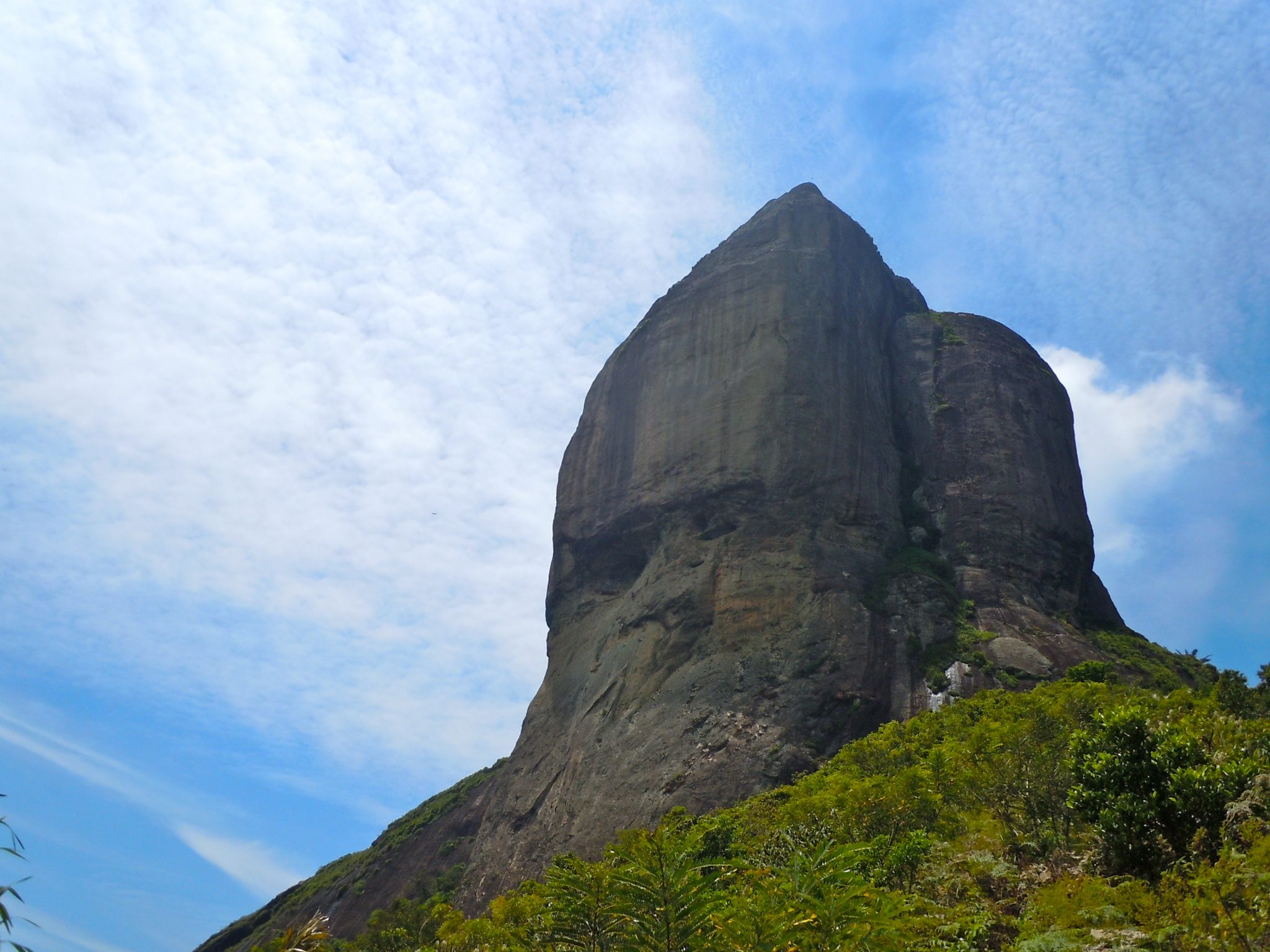 Trilha Pedra da Gávea 5