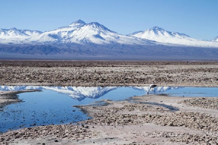 O que fazer em São Pedro de Atacama 10