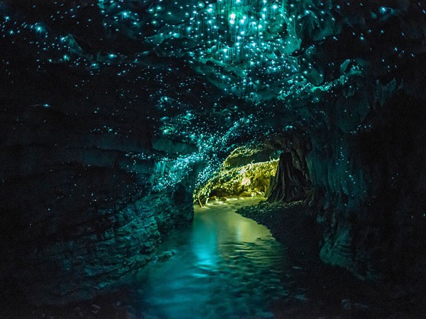 cavernas de Waitomo NZ