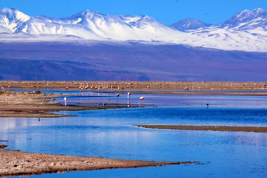 Lagunas Altiplânicas de São Pedro de Atacama