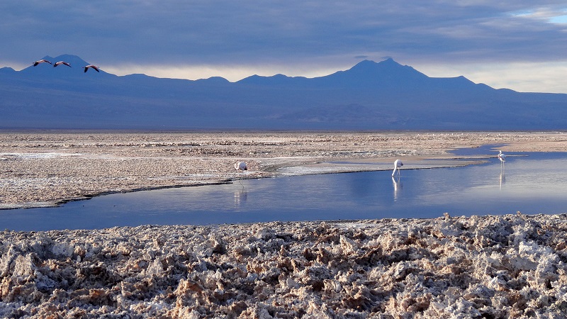 Lagunas Altiplânicas de São Pedro de Atacama 5