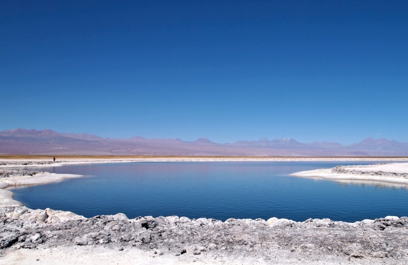 Lagunas Altiplânicas de São Pedro de Atacama 9