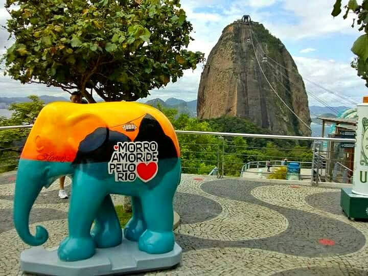 Eu morro de amor pelo Rio